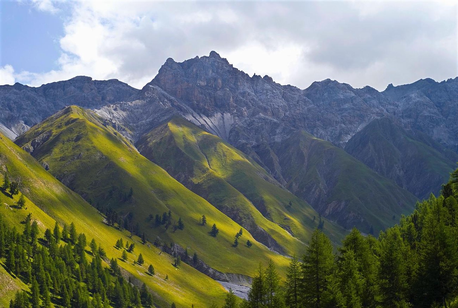 Le Parc national suisse est parmi les mieux protégés au monde. Watson