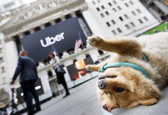 epaselect epa07560523 A dog lies on the sidewalk in front of the New York Stock Exchange before today&#039;s initial public offering for Uber in New York, New York, USA, 10 May 2019. Shares mom stock  ...