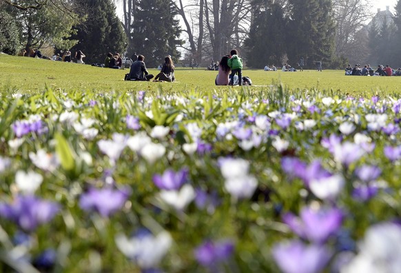 Menschen geniessen die milde Fruehlingssonne in einem Park in Zuerich am Samstag, 8. Maerz 2014. (KEYSTONE/Walter Bieri)....People enjoy the first spring sun beams in a park in Zurich, Switzerland, Sa ...