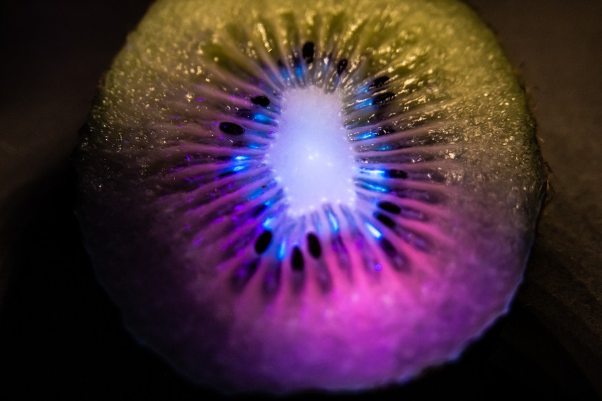kiwi unter UV licht frucht foto essen food
