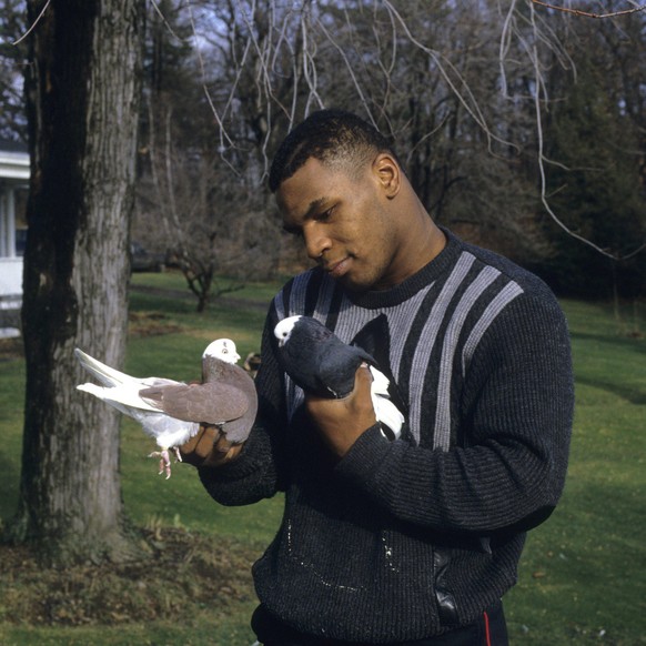 Heavyweight Boxing: Casual portrait of Mike Tyson holding pigeons in each hand at the home of his surrogate mother Camille Ewald. Catskill, NY 12/1/1985 CREDIT: Manny Millan (Photo by Manny Millan /Sp ...