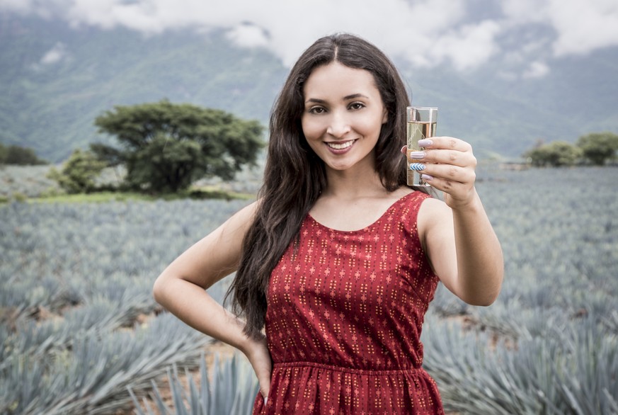 tequila mexiko frau agave felder alkohol schnaps