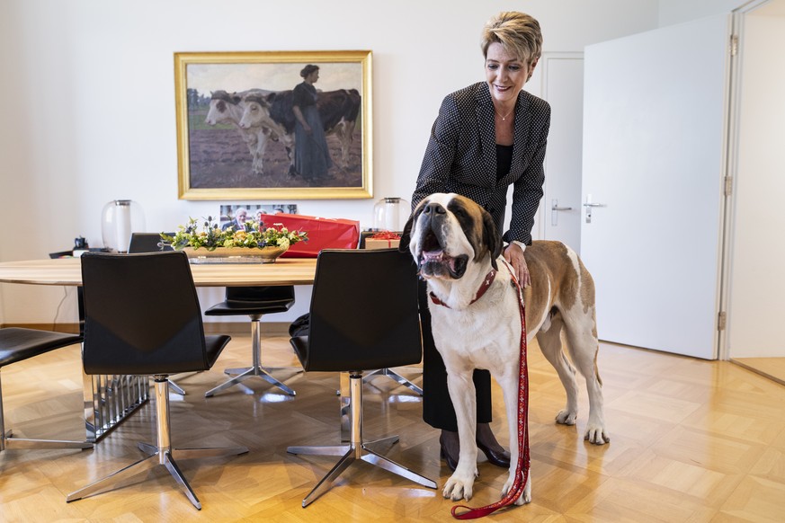 Bundesraetin Karin Keller-Sutter herzt den Bernardinerhund Zeus, am Mittwoch, 5. Mai 2021 in ihrem Buero in Bern. Karin Keller-Sutter ist Patin von Zeus, einem zweijaehrigen 77 kg schweren Bernhardine ...