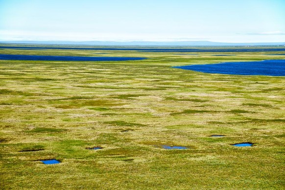 thermokarst sibirien tundra permafrost schmelzen symbolbild