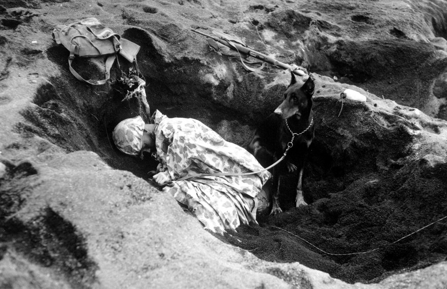 Ein Hund bewacht sein schlafendes Herrchen,&nbsp;Iwojima, 1945.&nbsp;
