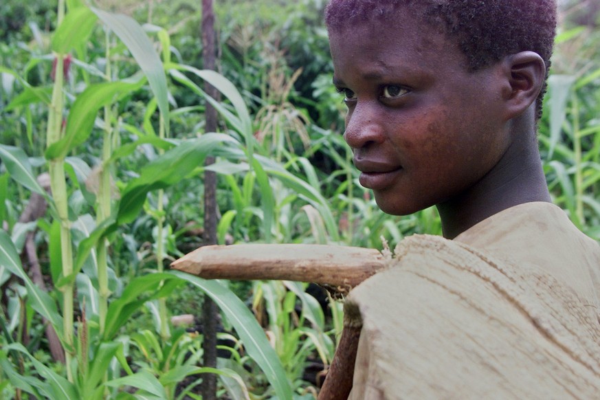 Kinderarbeit in der Elfenbeinküste, von wo ein Drittel der globalen Kakaoproduktion stammt.