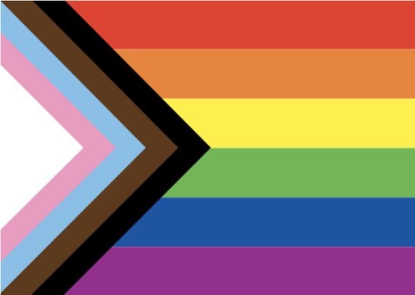 Die relativ neue, sogenannte «Progress Flag» beinhaltet auf der linken Seite mehr als nur die Regenbogenfarben. Sie sollen ein besonderes Augenmerk auf trans Menschen und Schwarze und andere «Persons  ...