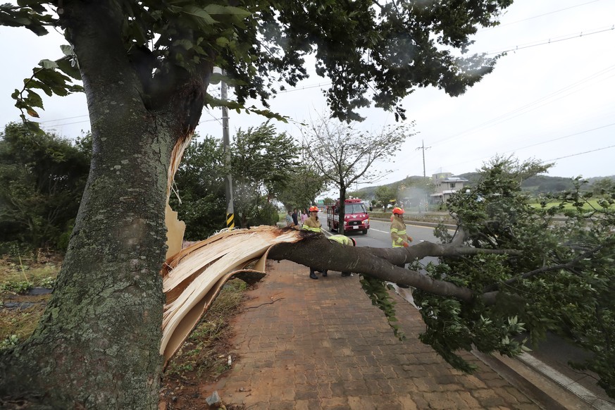 A tree branch is broken as Typhoon Lingling lashes in Daejeon, South Korea, Saturday, Sept. 7, 2019. Typhoon winds toppled trees, grounded planes and left thousands of South Korean homes without elect ...