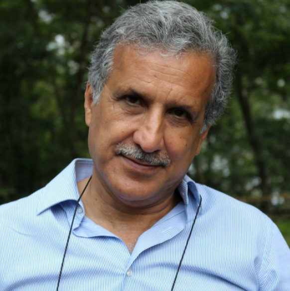 «Kurzfristig hat Soleimanis Tod zu einem Schulterschluss geführt», sagt Hamid Nowzari