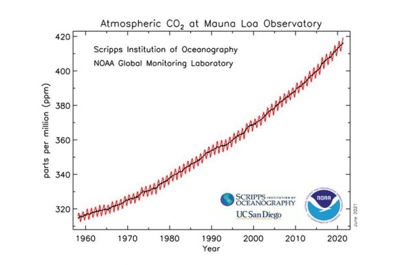 Die CO2-Konzentration in der Atmosphäre hat seit 1958 stets zugenommen.