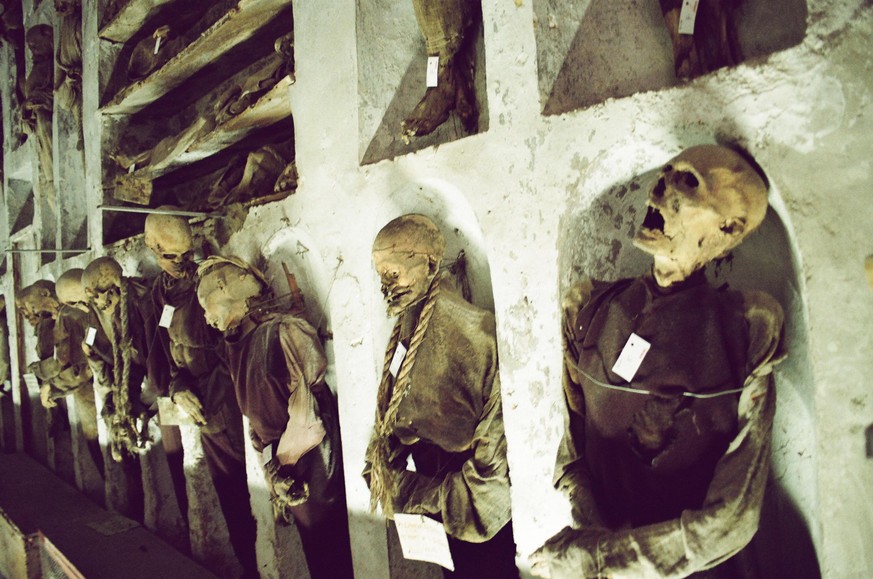 [UNVERIFIED CONTENT] If you go to Sicily you can&#039;t miss the capuchin catacombs of Palermo, something that confirms the ghoulish side of this city. A cemetery that contains 8000 mummies, lined upo ...