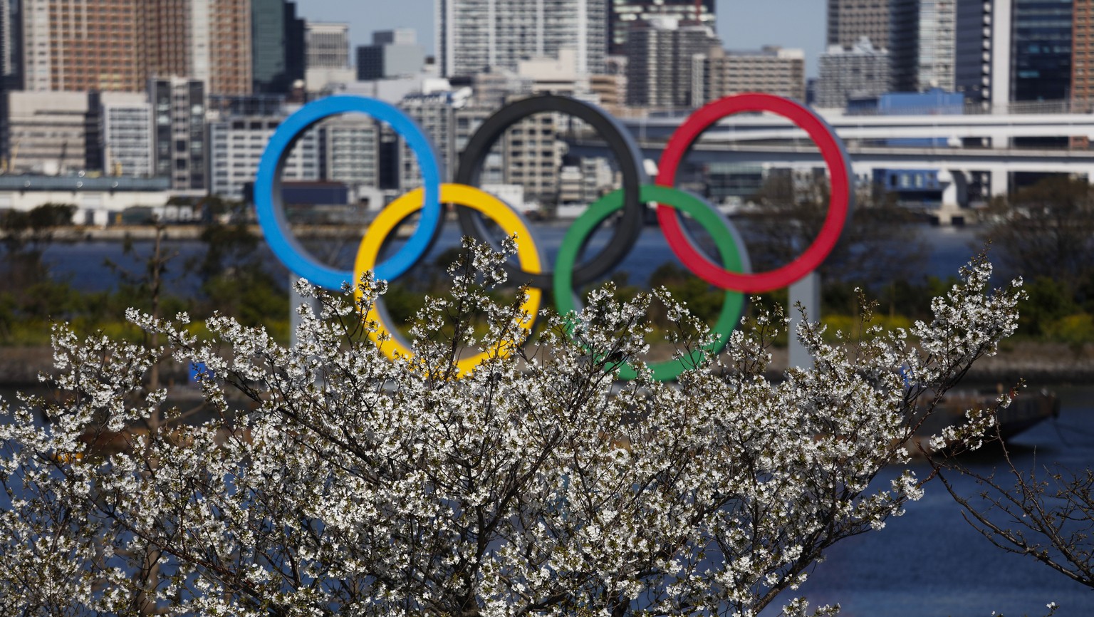 The Olympic rings floating on a barge are seen behind cherry blossoms Wednesday, March 25, 2020, in the Odaiba section of Tokyo. Not even the Summer Olympics could withstand the force of the coronavir ...