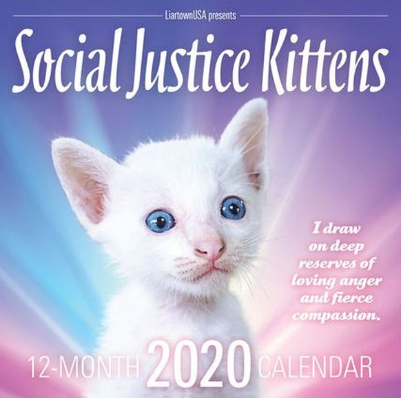 social justice kittens kalender 2020 https://www.akpress.org/socialjusticekittens2020.html