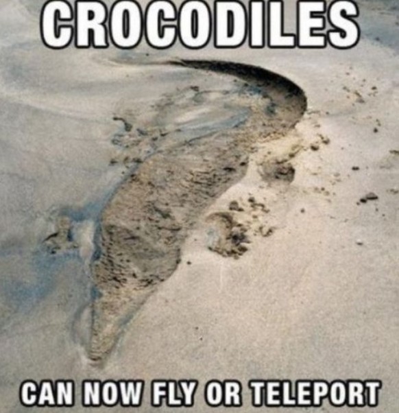 Übersetzung: «Krokodile können nun fliegen oder sich teleportieren.»