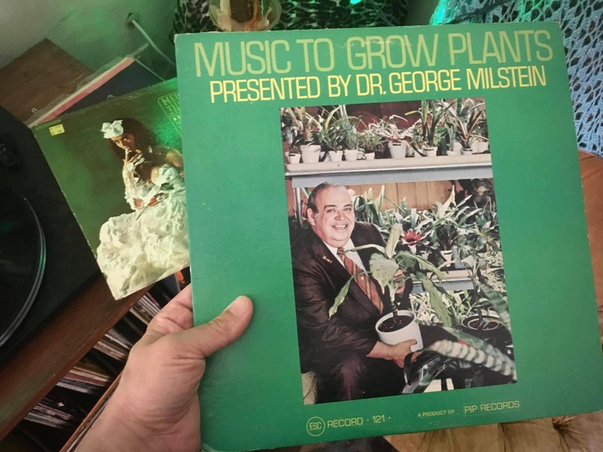 music to grow plants to Musik vinyl pflanzen