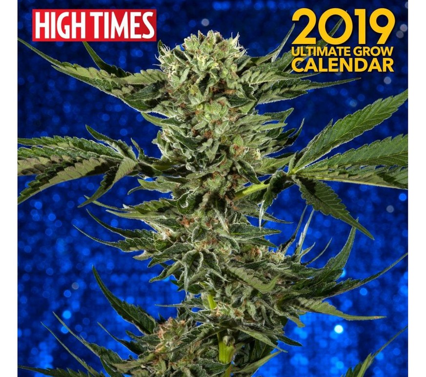 hight times 2019 ultimate grow calendar hemp hasch hanf kiffen https://www.calendars.com/High-Times-2019-Wall-Calendar/prod201700017193/