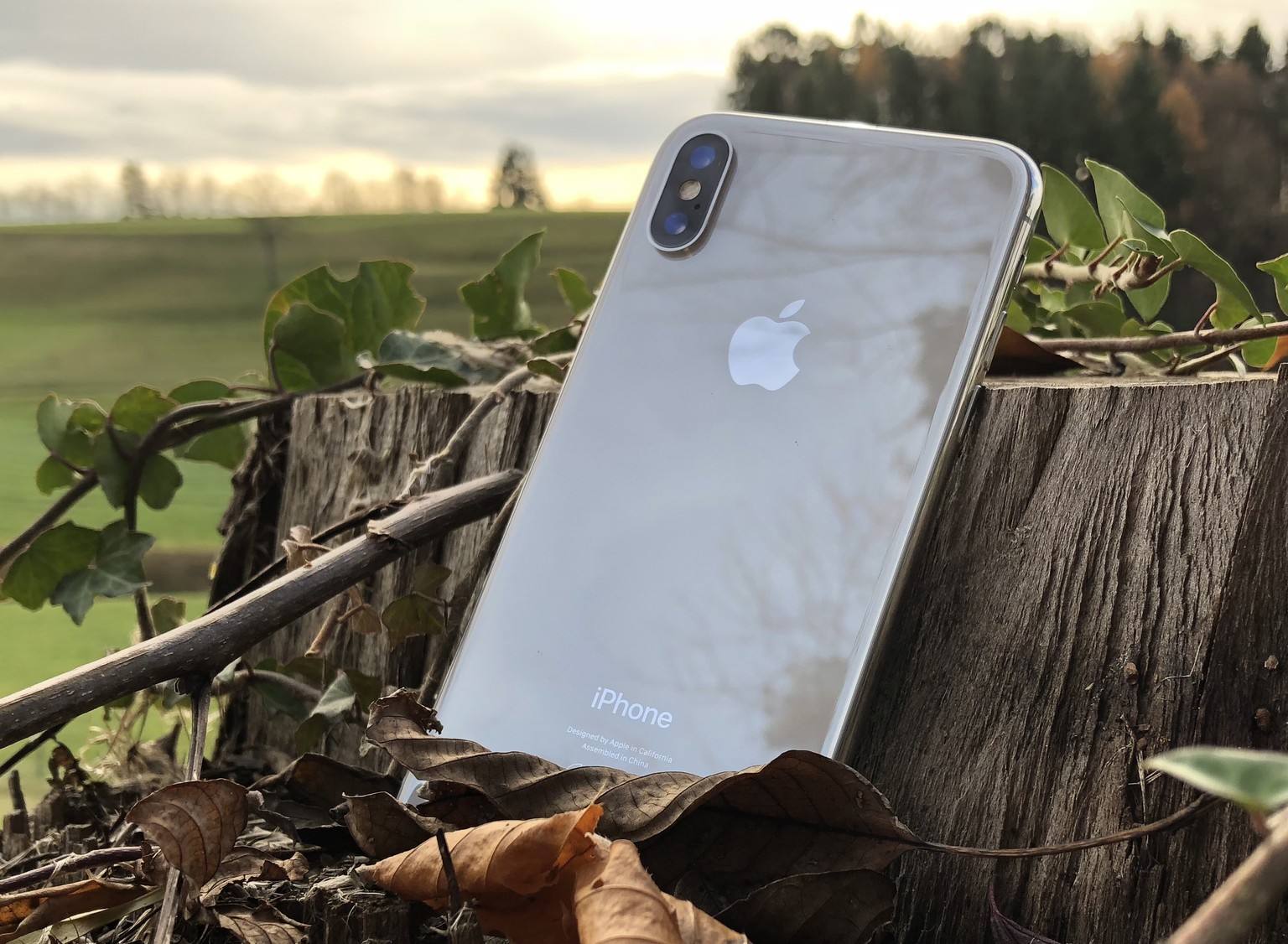 iPhone X, fotografiert mit iPhone 8 Plus. November 2017.