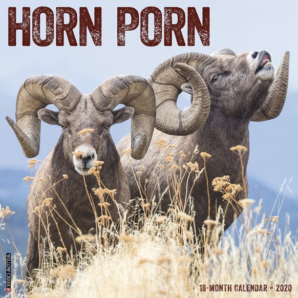 horn porn kalender 2020 https://www.amazon.com/Horn-Porn-2020-Wall-Calendar/dp/1549206672