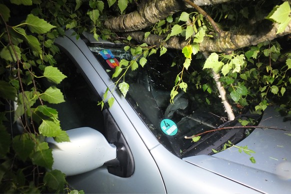 In St.Gallen wurde ein Auto durch herabfallende Äste beschädigt.