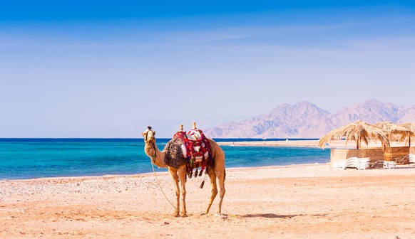 Ägypten, Shutterstock