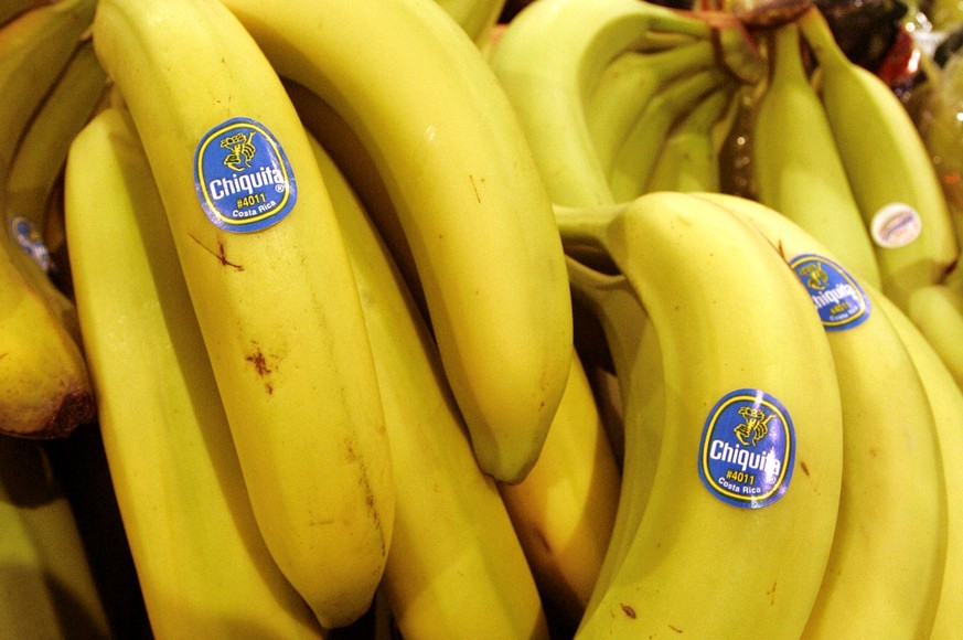 Chiquita hat kolumbianische Paramilitärs finanziell unterstützt, will aber zu diesen Zahlungen erpresst worden sein.