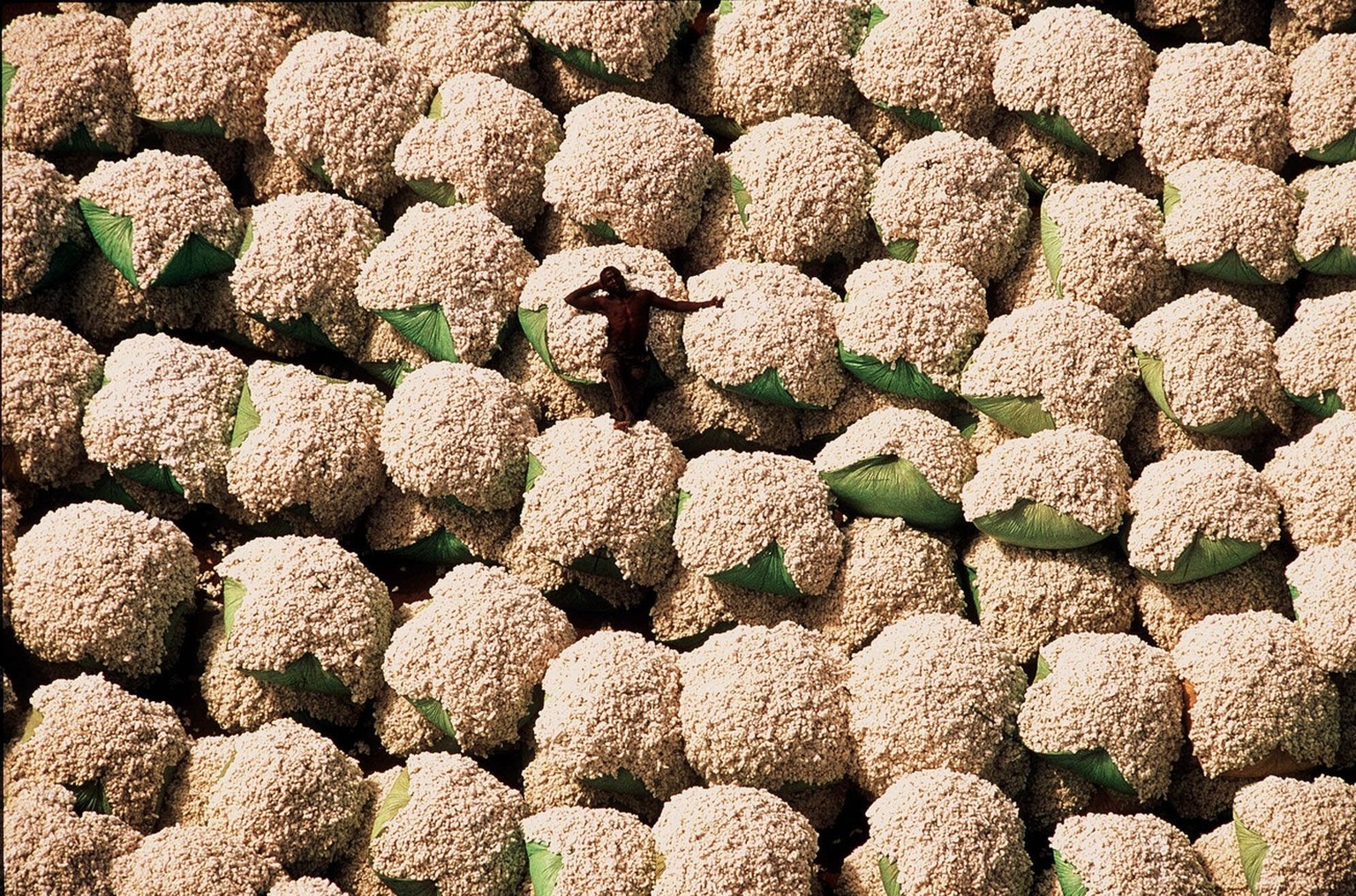 A worker in Thonakaha, Cote d&#039;Ivoire, rests on bales of cotton in this undated aerial photo. The image is part of a new photo exhibit and coffee-table book titled &#039;Earth From Above&#039;, by ...