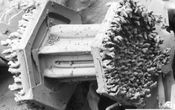 Schneeflocke unter dem Mikroskop