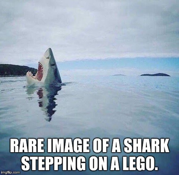 Haifisch, der auf ein LEGO tritt.

https://imgflip.com/i/1bi9lc