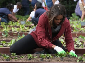 Michelle Obama legt in ihrem Bio-Garten Hand an.