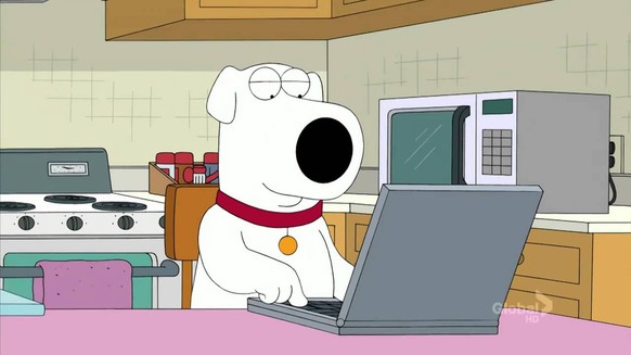 Typ Nummer 6 ist schlau wie der Hund von Family Guy. Und wahrscheinlich auch ein arbeitsloser Journalist.
