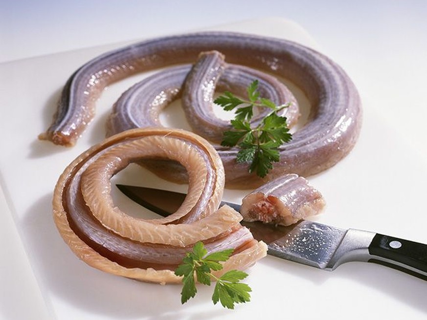 rattlesnake klapperschlange food essen USA kochen https://www.pinterest.ch/1fastyellowgto/rattlesnake/
