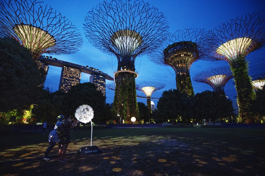 epa08812654 Visitors look at Dandelion, an art installation that allows people in Singapore and Japan to interact with one another, at the Supertree Grove at Gardens by the Bay in Singapore, 10 Novemb ...