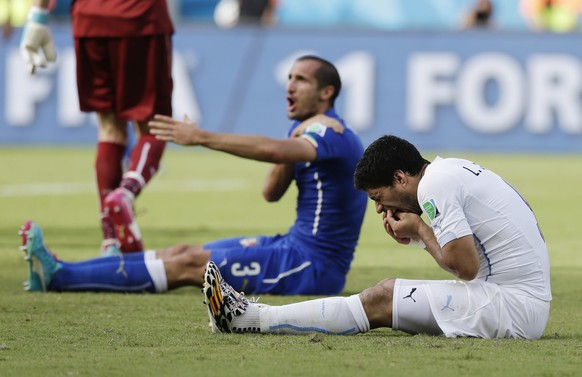 Italy&#039;s Giorgio Chiellini complains after Uruguay&#039;s Luis Suarez ran into his shoulder with his teeth during the group D World Cup soccer match between Italy and Uruguay at the Arena das Duna ...