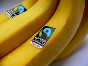 Nun haben es die Goldschmiede in der Hand, ob sich das Fairtrade-Gold wie die Bananen durchsetzten kann.