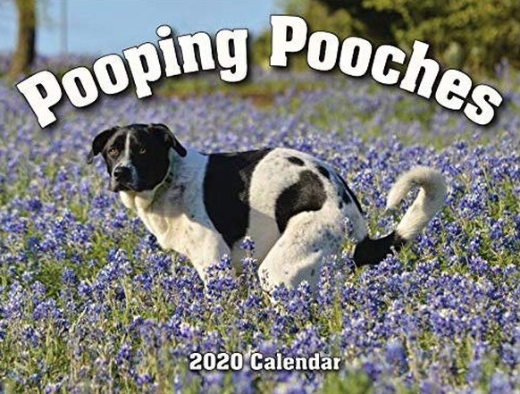 pooping pooches kalender 2020 https://www.amazon.com/Pooping-Pooches-White-Elephant-Calendar/dp/B0754Y9GNH