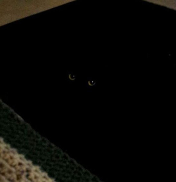 Schwarze Katze Teppich