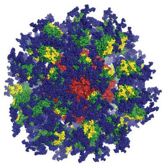HIV-Impfstoff-Kandidat: Computer image of the eOD-GT8 immune-stimulating protein. 
https://www.iavi.org/news-resources/press-releases/2018/iavi-announces-clinical-trial-of-next-generation-hiv-vaccine- ...