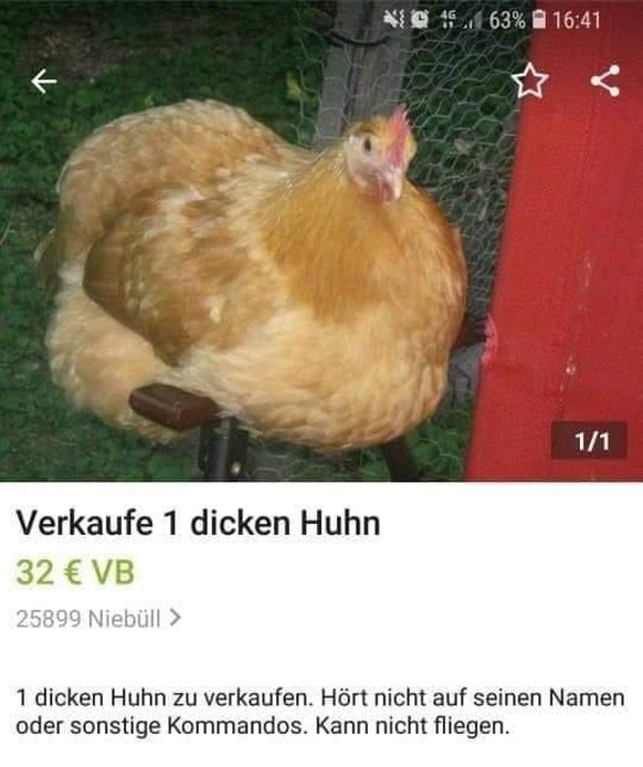 1 dicken Huhn for ever.
