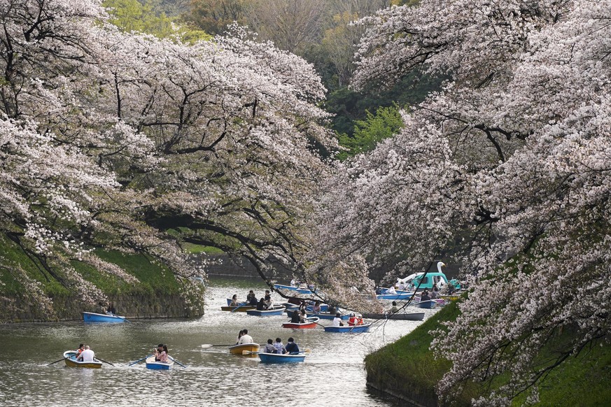 epa09106650 People rowing boats enjoy viewing the cherry blossoms on Chidorigafuchi Moat, northwest of the Imperial Palace in Tokyo, Japan, 30 March 2021. The highest daytime temperature rose to 23.3  ...