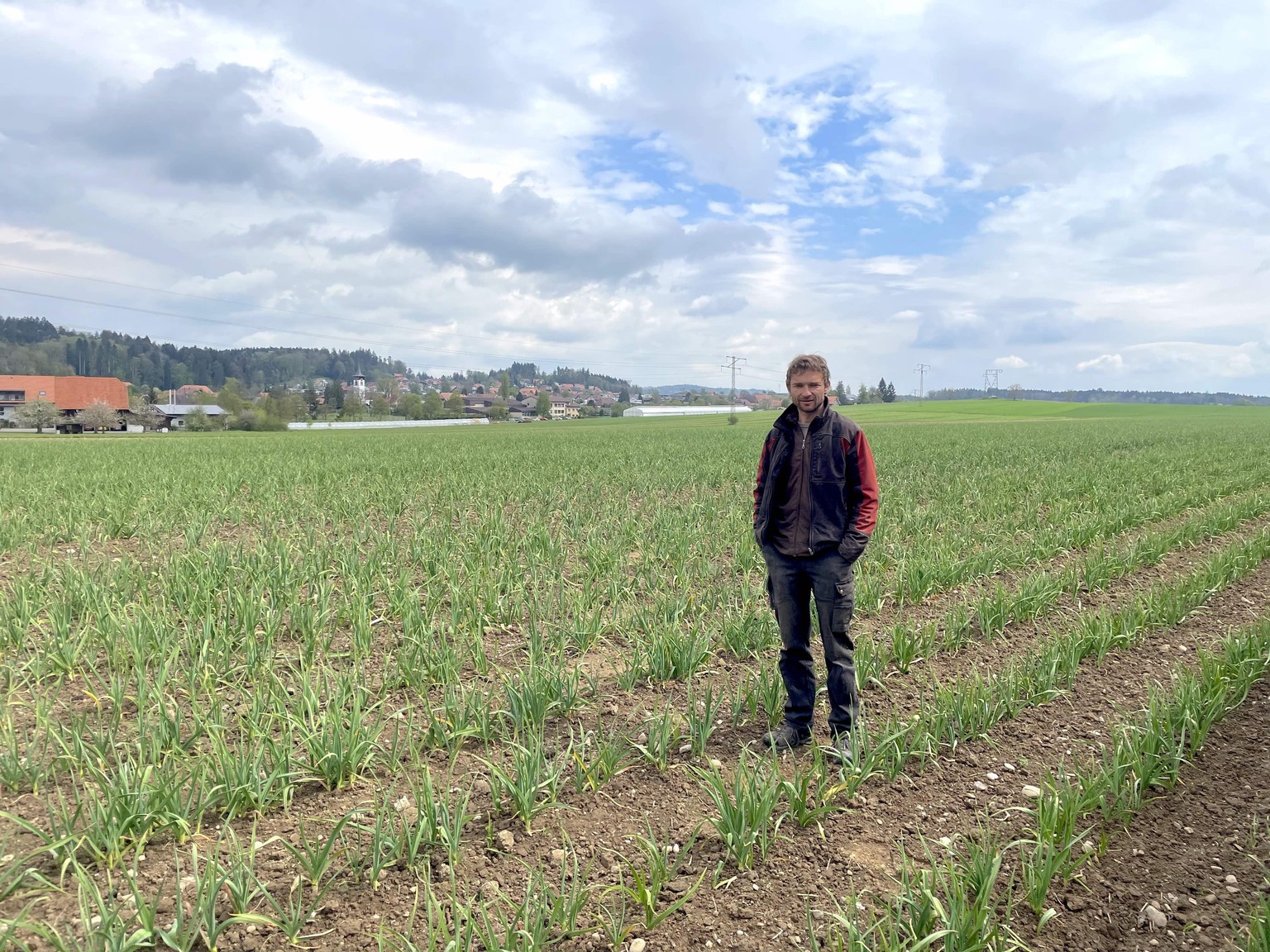 Markus Bucher inmitten seines Knoblauch-Felds in der bernischen Gemeinde Grossaffoltern.