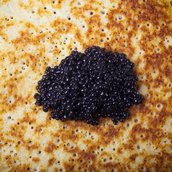 kaviar blinis beluga stör russland essen fisch eier food shutterstock