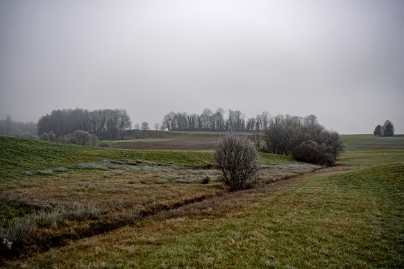 Grau in Grau bei Wetzikon am Mittwoch, 1. Januar 2020. (KEYSTONE/Walter Bieri)