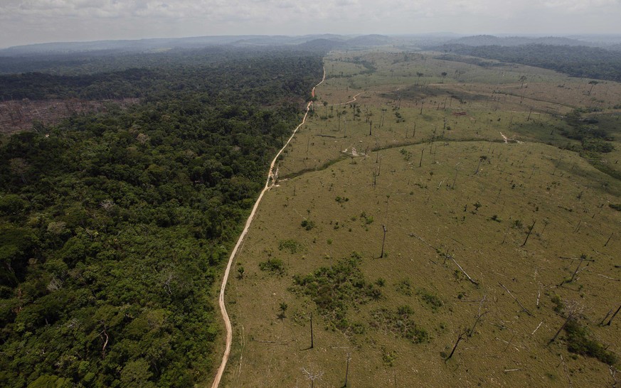 FILE - This Sept. 15, 2009 file photo shows a deforested area near Novo Progresso in Brazil&#039;s northern state of Para. Imazon, a non-government group that monitors the Amazon rainforest, said on M ...