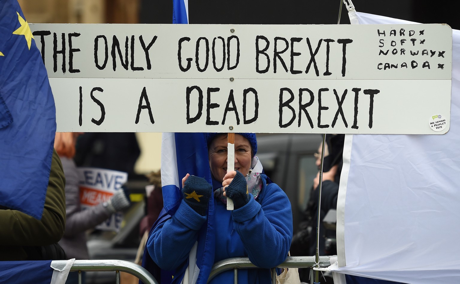 epaselect epa07286921 A pro EU protester demonstrates outside of the Parliament in London, Britain, 15 January 2019. Parliamentarians are voting on the postponed Brexit EU Withdrawal Agreement, common ...