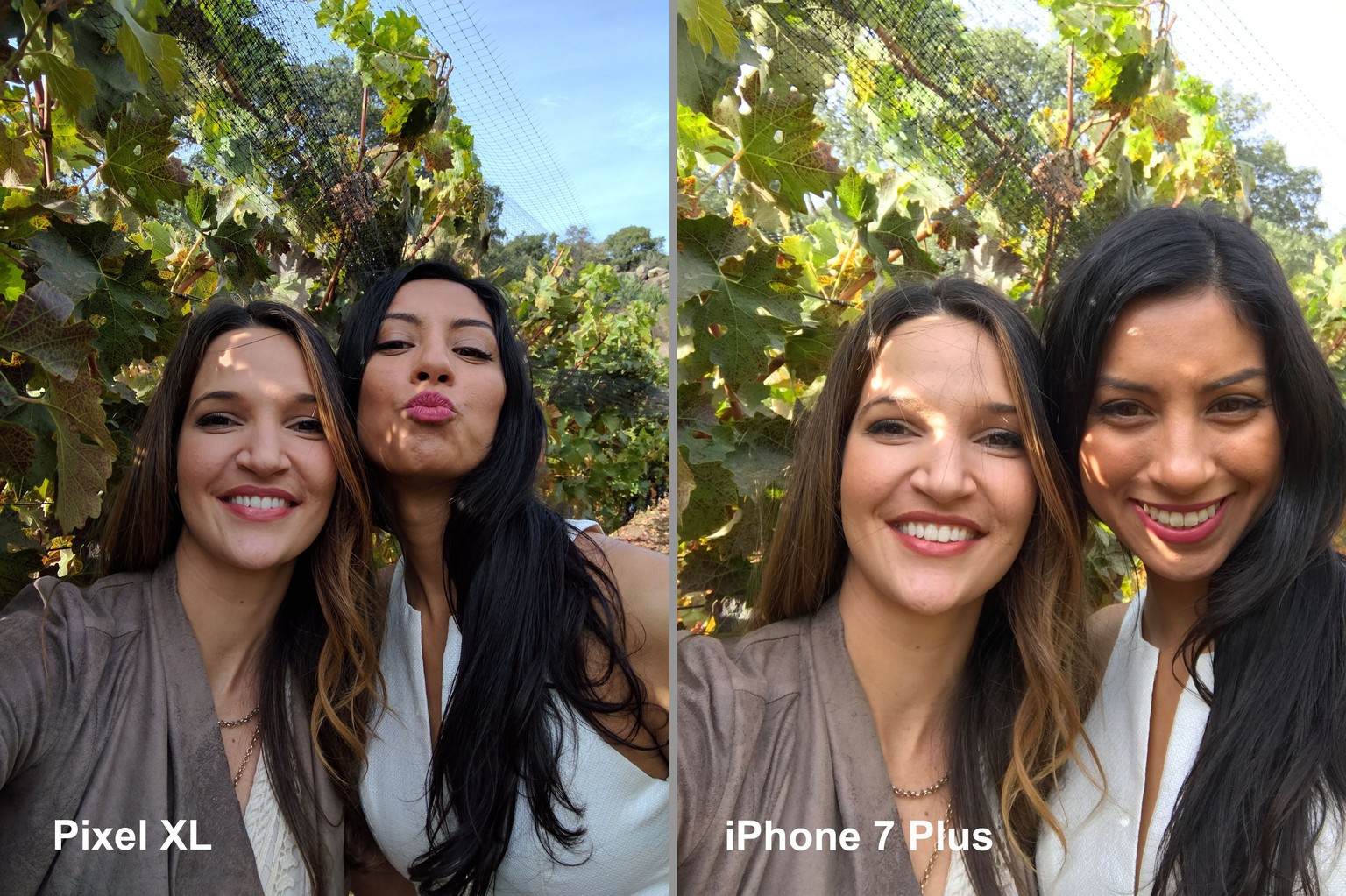 Die Front-Kamera des Pixels schiesst bei Tageslicht bessere Selfies. Das Pixel-Selfie ist schärfer, hat die natürlicheren Farben (siehe Himmel) und der bessere Weitwinkel bringt problemlos mehrere Men ...