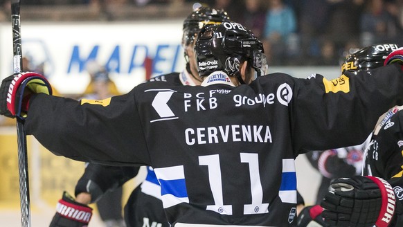 La joie de l&#039;attaquant fribourgeois Roman Cervenka, lors du match du championnat suisse de hockey sur glace de National League entre le HC Fribourg-Gotteron et le HC Davos ce samedi, 4 novembre 2 ...