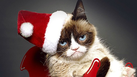 grumpy cat weihnachten