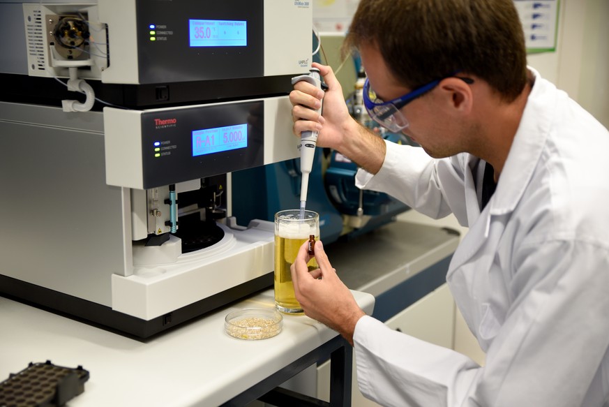 FAU-Wissenschaftler Thomas Sommer entnimmt eine Bierprobe. Nach der Aufbereitung wird der Hordeningehalt der Probe mittels Hochdruckflüssigkeitschromatographie mit gekoppelter Massenspektrometrie unte ...