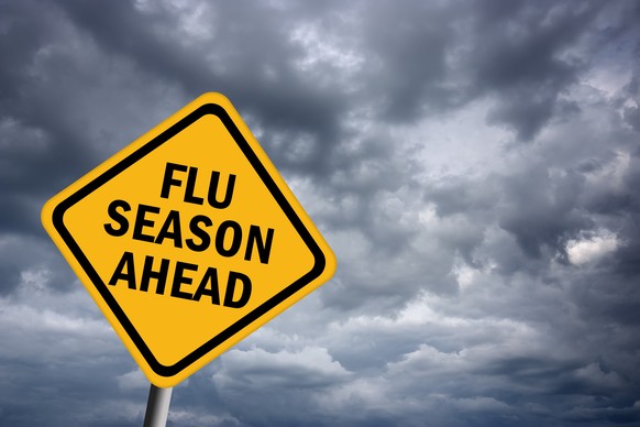 Die Grippe lässt sich nicht immer ganz verhindern, aber Vorbeugung hilft oft.
