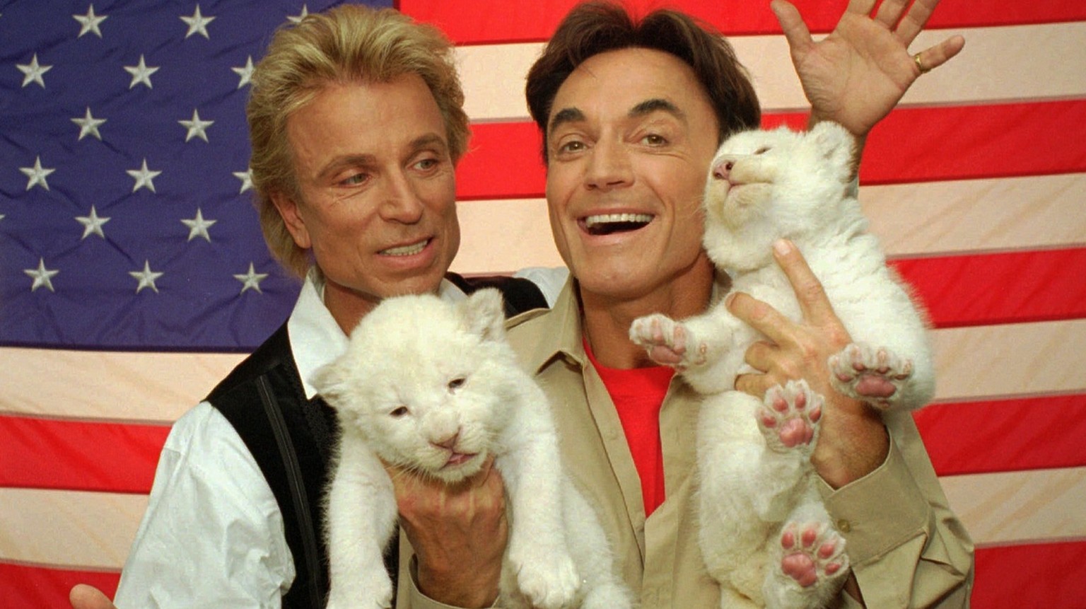 Two rare, 18-day-old white lion cubs squirm their way through a photo session with their new American hosts, illusionists Siegfried, left, and Roy, Thursday, May 2, 1996, in Las Vegas. A tiger attacke ...